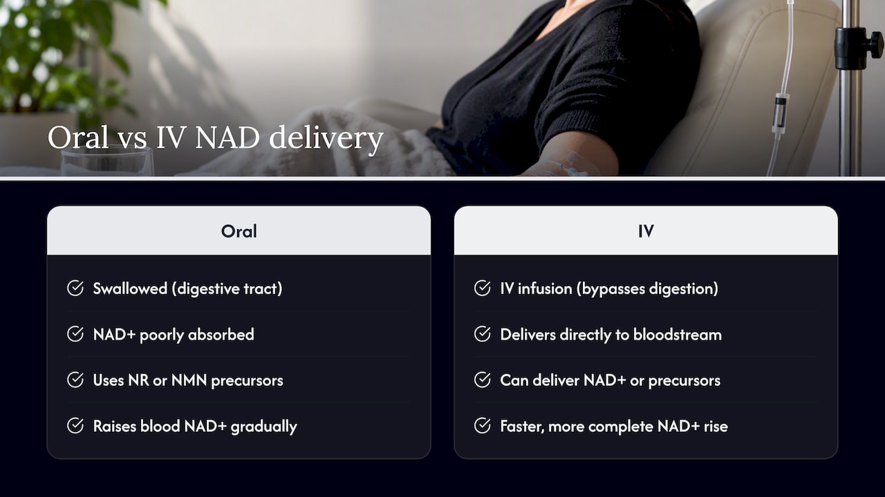 What NAD is and how IV delivery differs from oral supplements — overview diagram